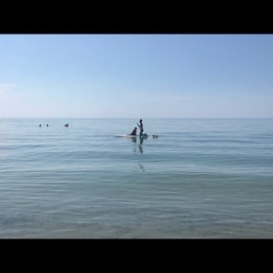 Meet your Posher, Katrina